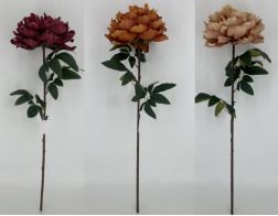 EB01925056-BU/OR/PK