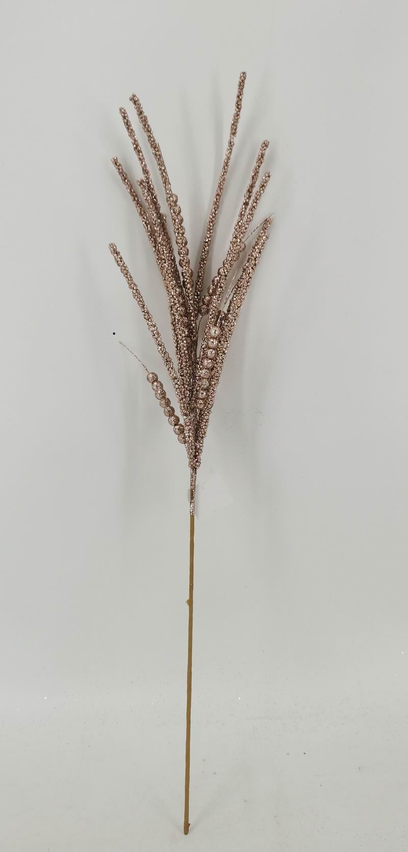 EBA5027
