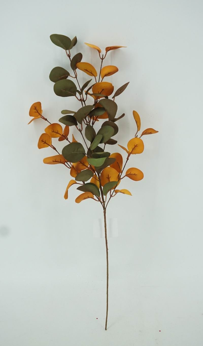 EBA6029