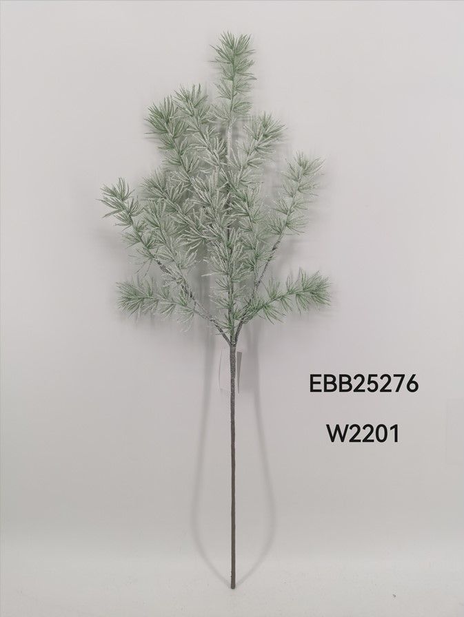 EBB25276