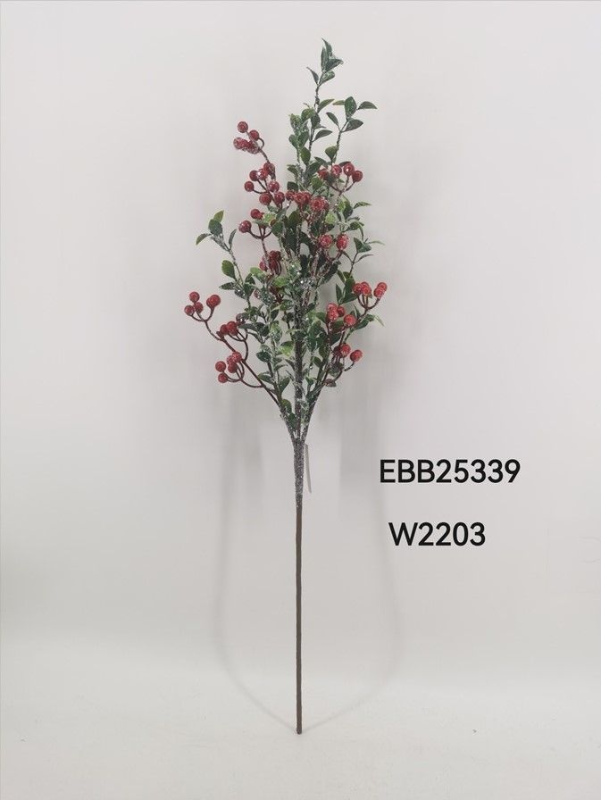 EBB25339