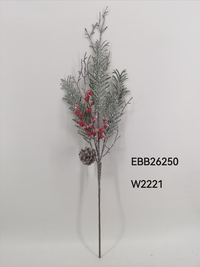 EBB26250