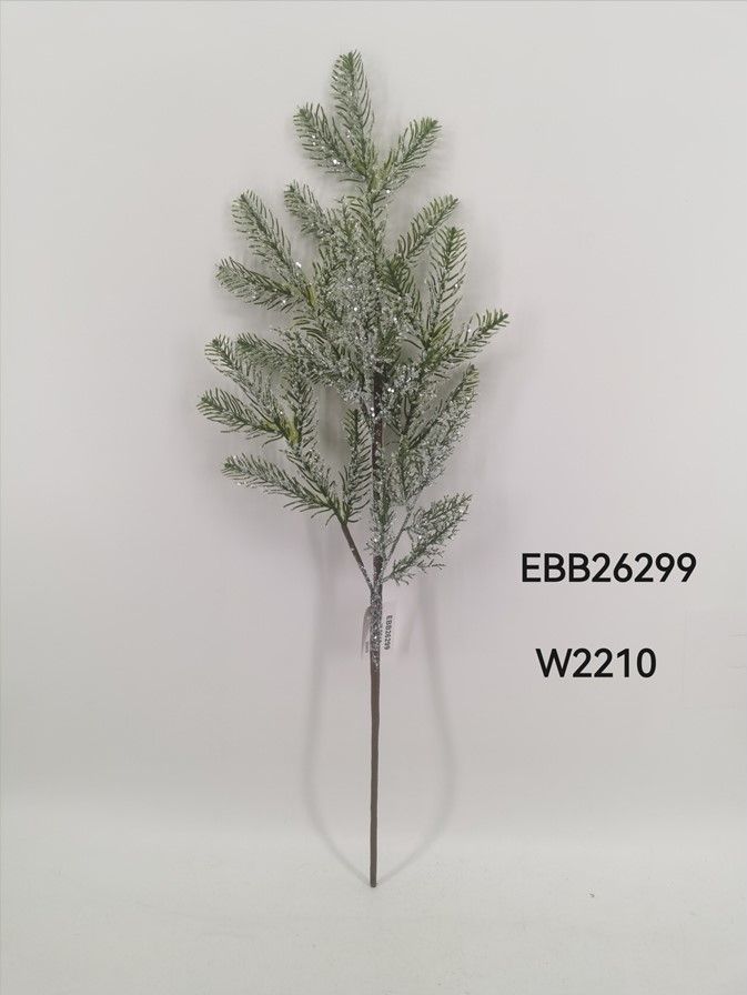 EBB26299