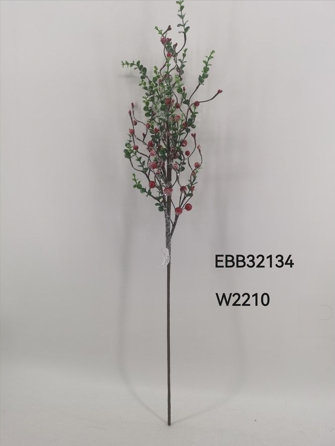 EBB32134