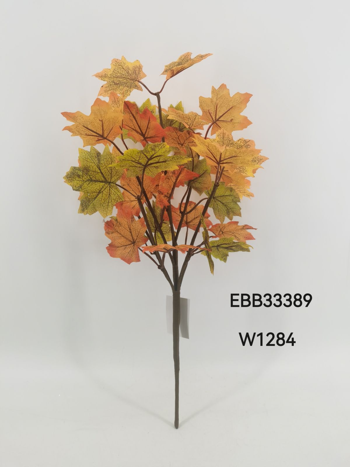 EBB33389