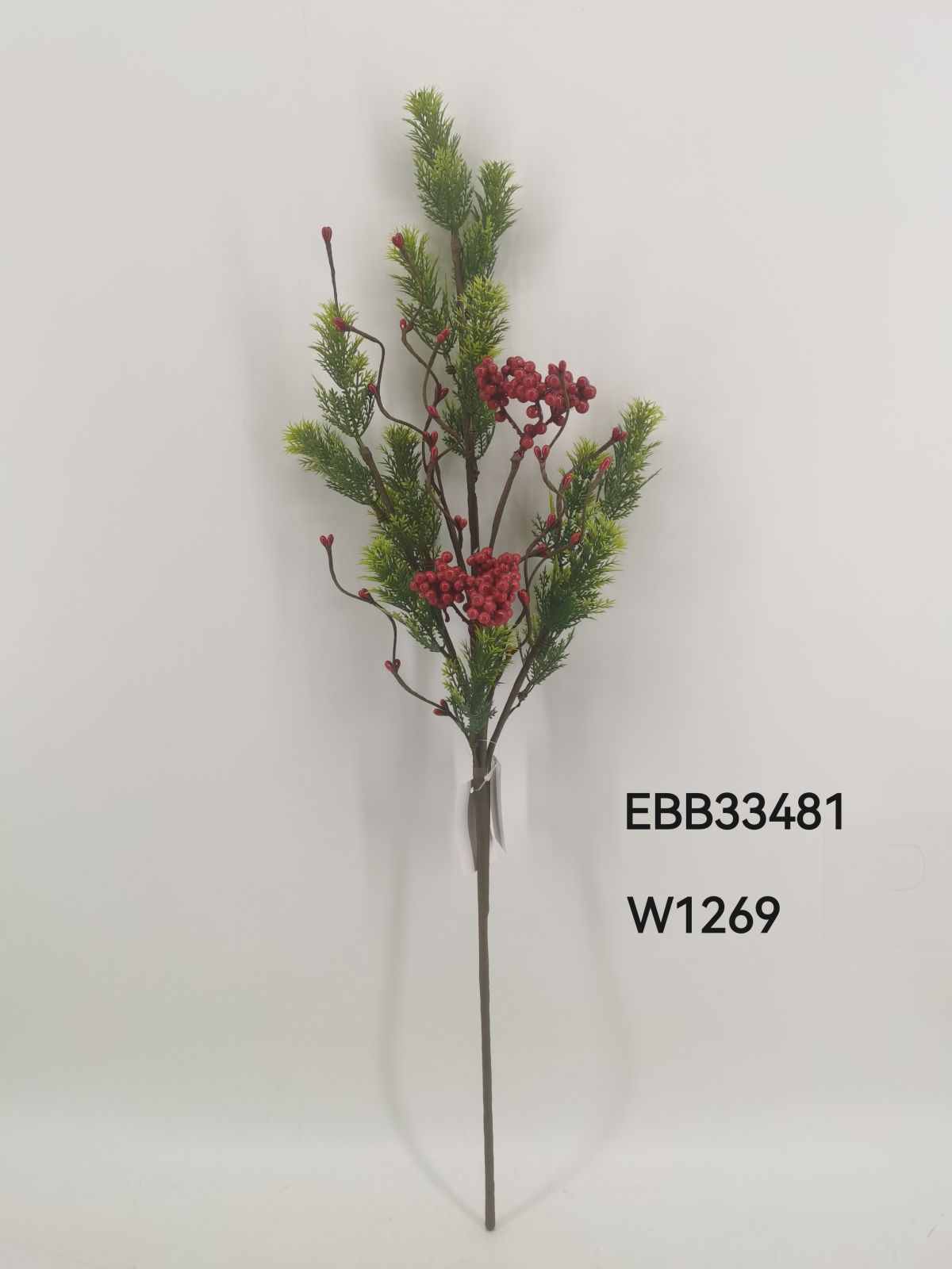 EBB33481