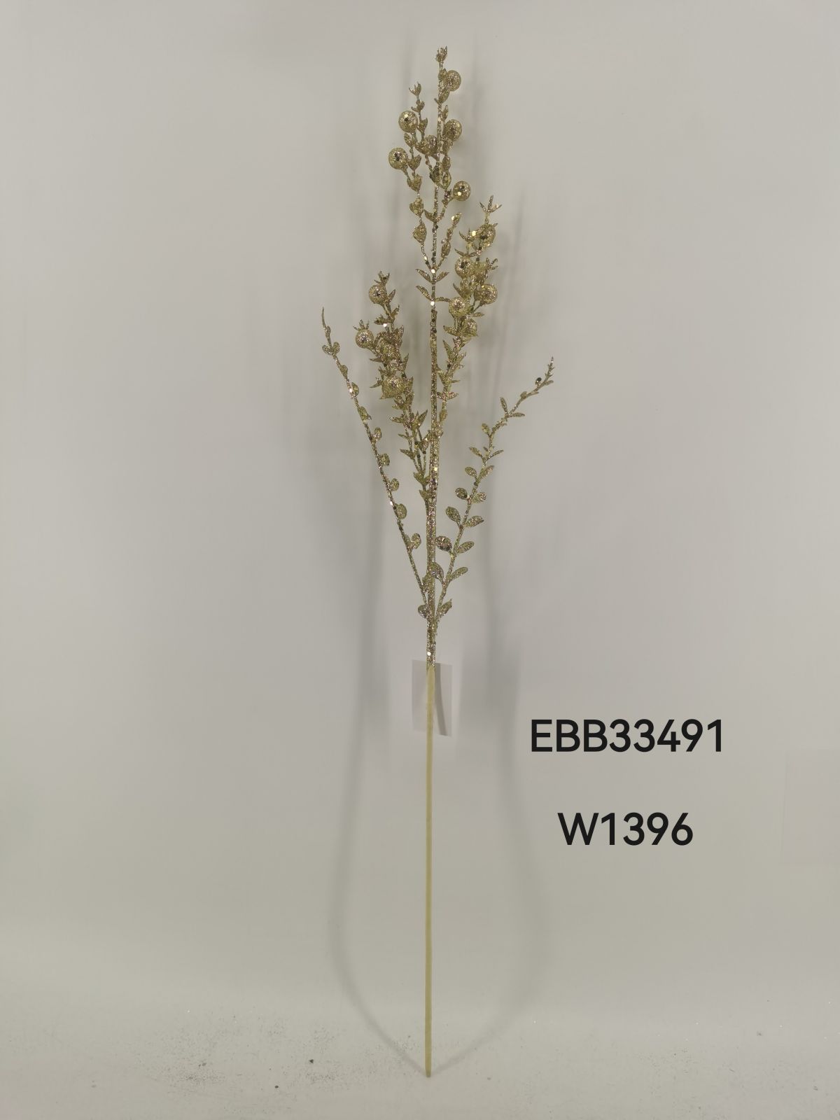 EBB33491