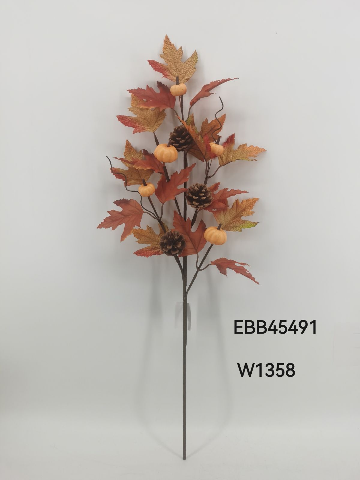 EBB45491