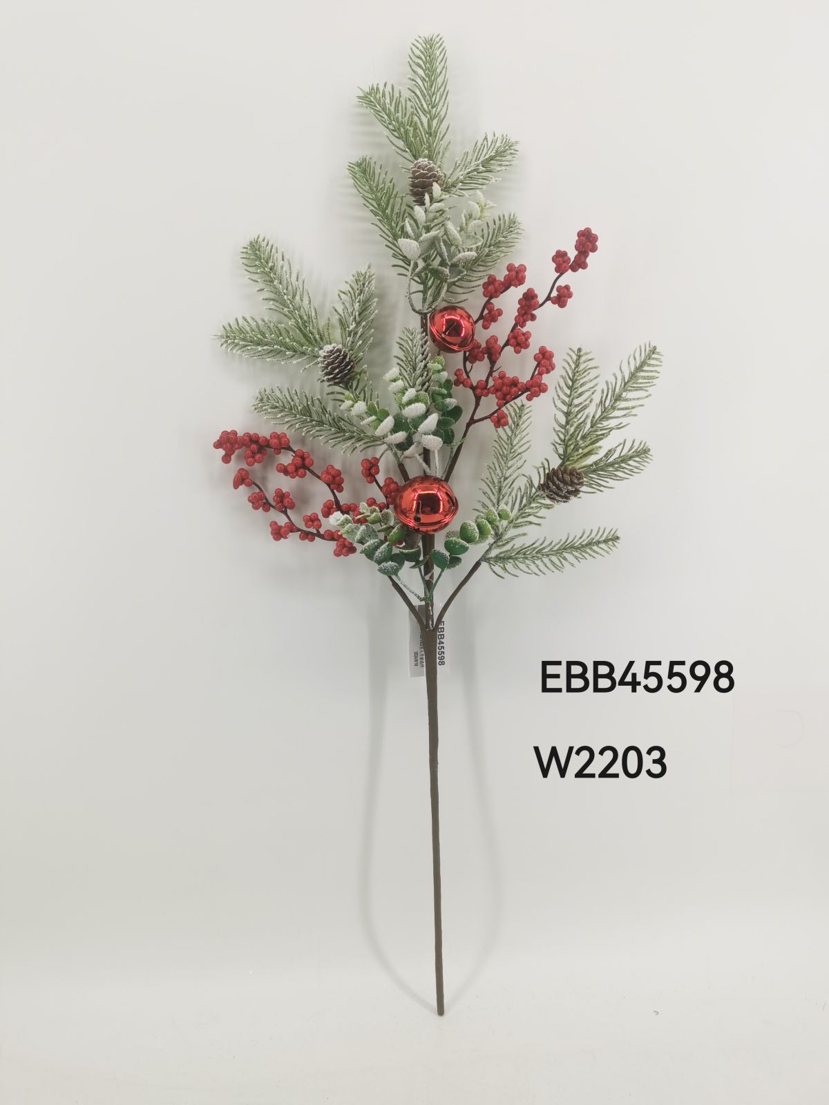 EBB45598