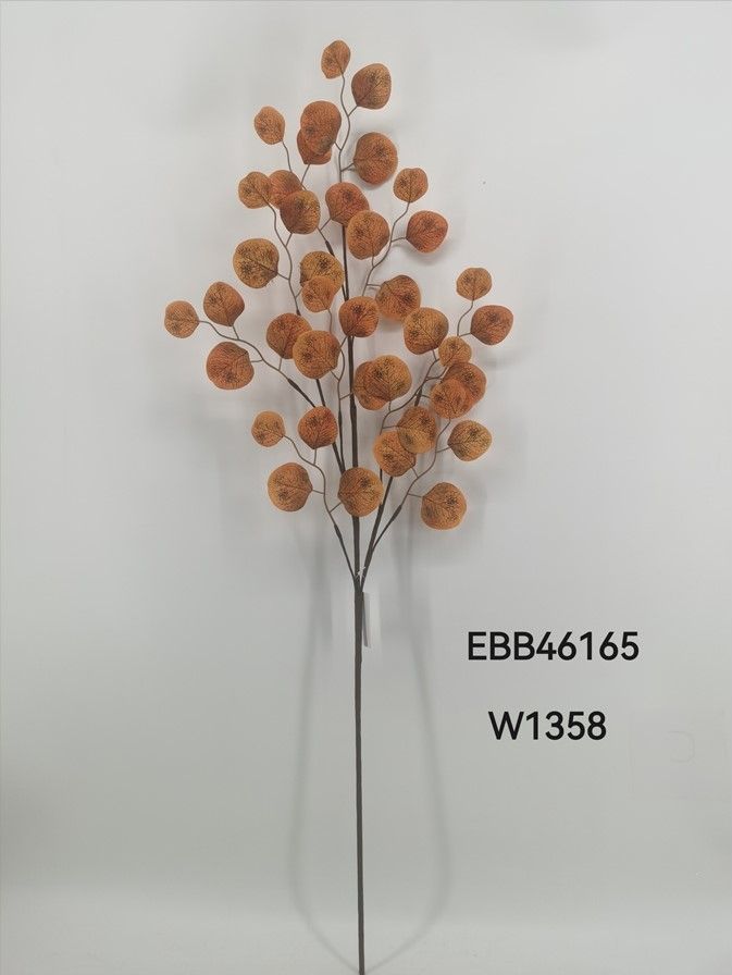 EBB46165