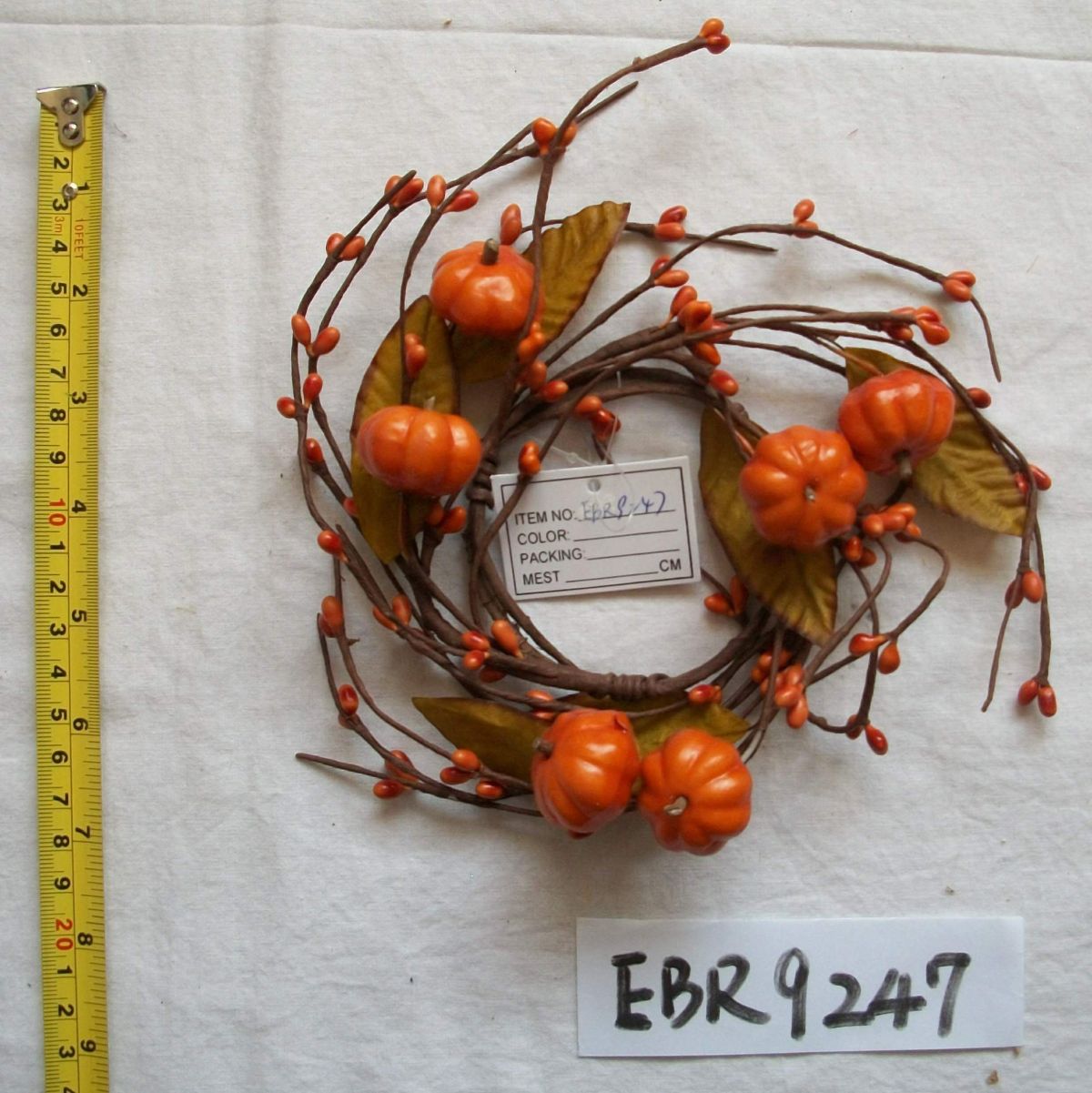 EBR9247
