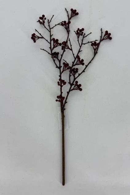 EBS45742P2