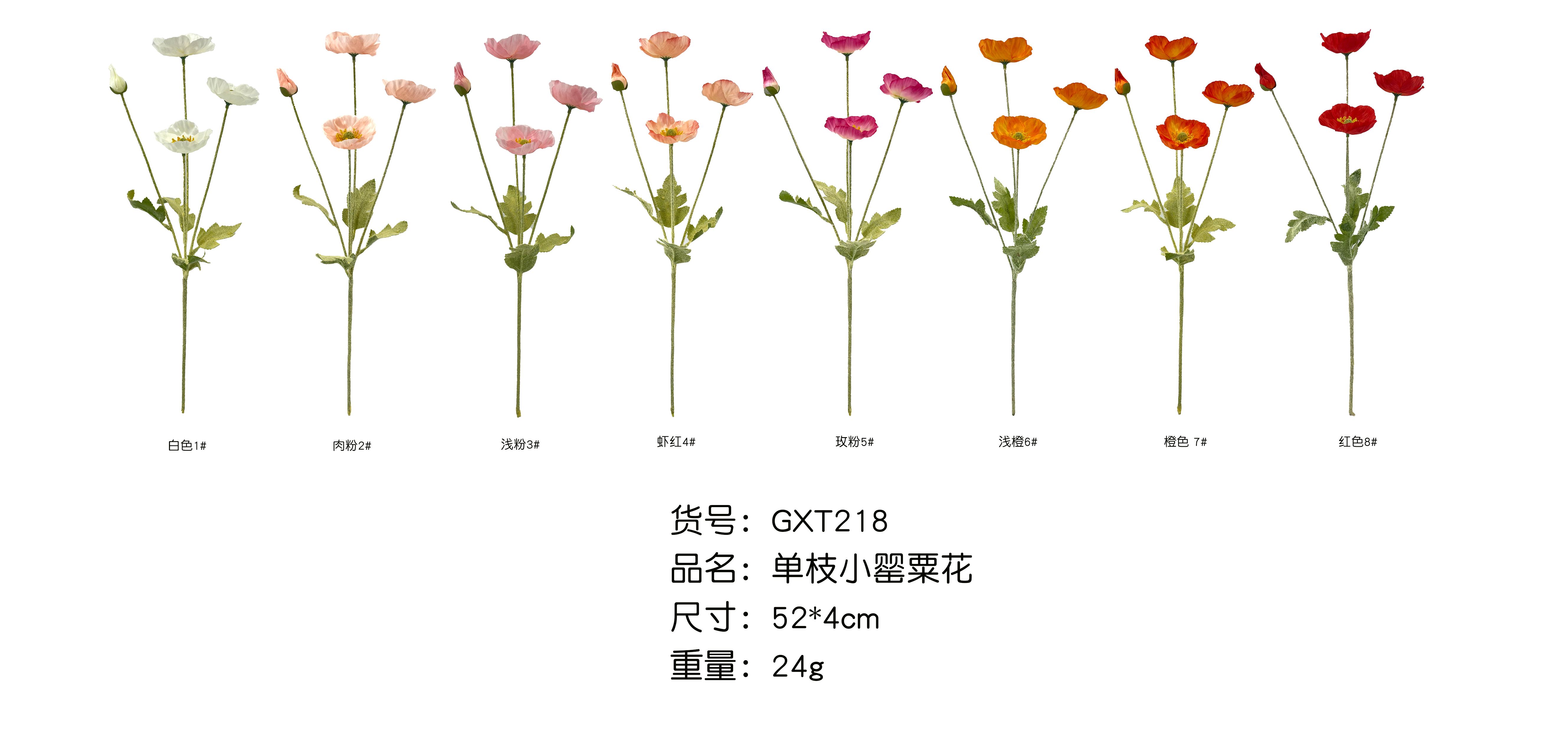 EGXT218