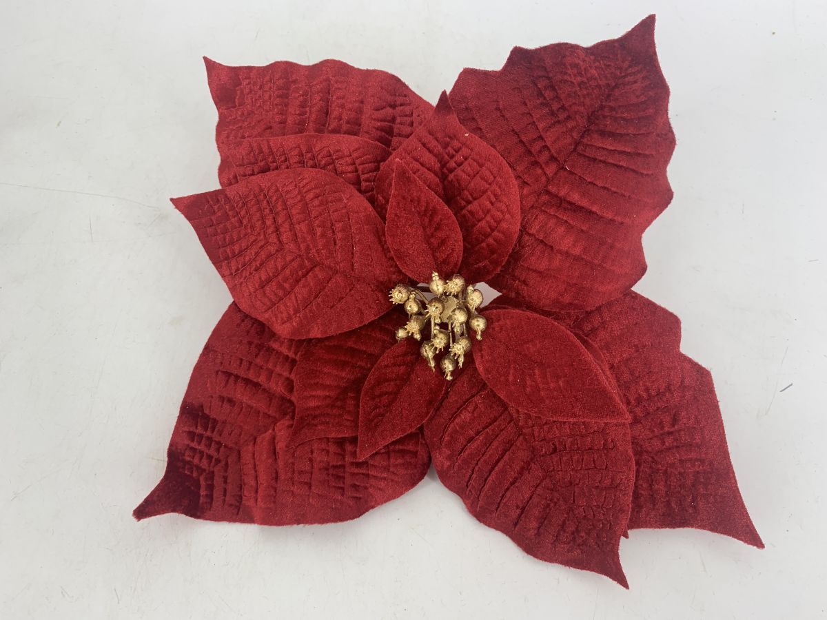 HZY-25143-RED