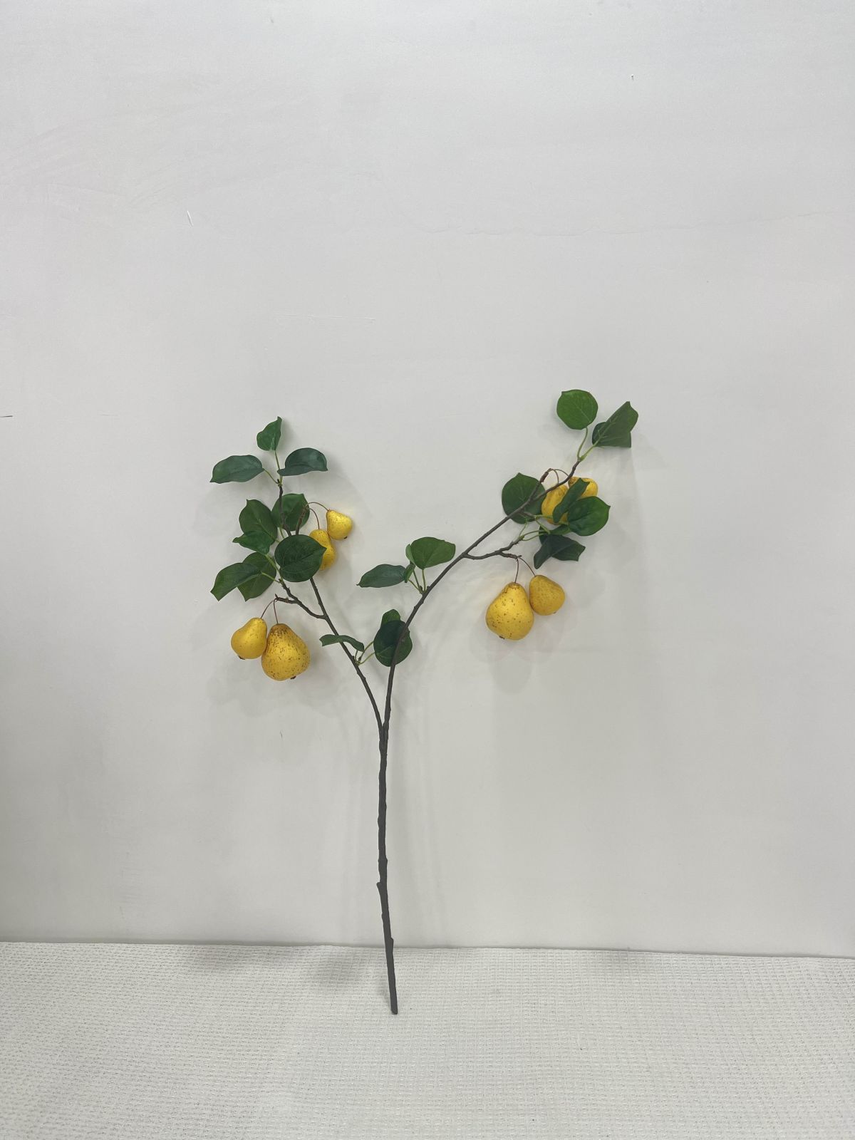 MZM240709